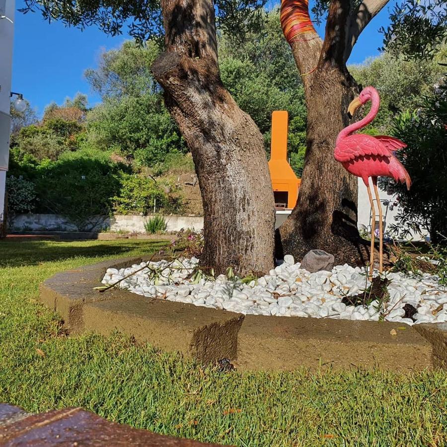 Sweethouse Pula Villa Porto Columbu - Perd'E Sali Dış mekan fotoğraf